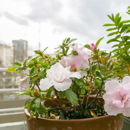 Charmant T3 Avec Terrasse - Butte-aux-cailles Appartement Parijs